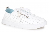 SEA STAR 242934052